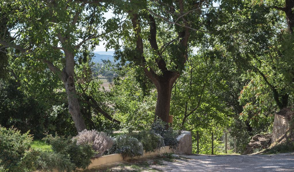 B&B Cantico Delle Creature Assisi Luaran gambar