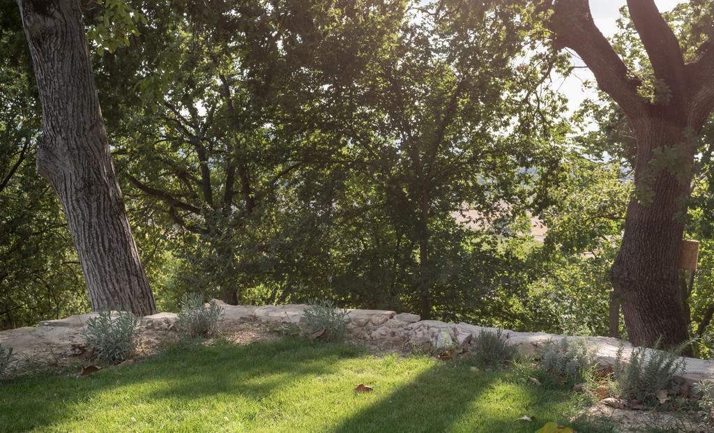 B&B Cantico Delle Creature Assisi Luaran gambar