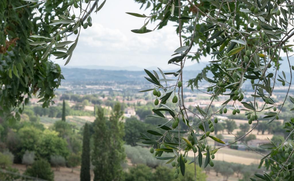 B&B Cantico Delle Creature Assisi Luaran gambar